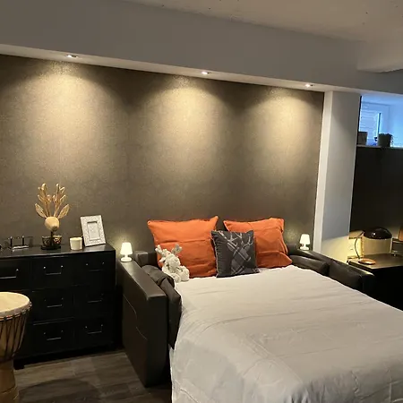 Cosy Nest - De Luxe Avec Canape-lit, Terrasse Et Parking Prive