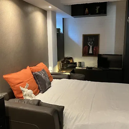 شقة Cosy Nest - De Luxe Avec Canape-lit, Terrasse Et Parking Prive